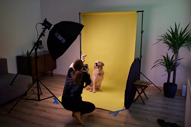 Behind‑the‑scenes: hoe een pet‑shoot écht verloopt